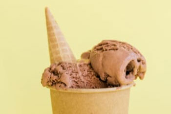 Chocolate Chip Ice Cream